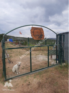 İzmit Kandıra Yolu Yassıbağ Tekkeköy'de 7,5 Dönüm 11