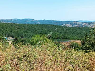 İzmit Kandıra Yolu Yassıbağ Tekkeköy'de 7,5 Dönüm 24