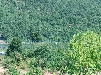 İzmit Kandıra Yolu Yassıbağ Tekkeköy'de 7,5 Dönüm 28