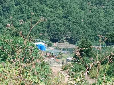 İzmit Kandıra Yolu Yassıbağ Tekkeköy'de 7,5 Dönüm 22