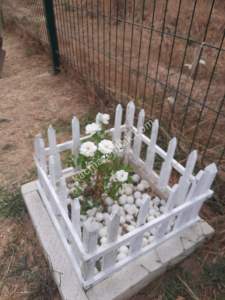 İzmit Kandıra Yolu Yassıbağ Tekkeköy'de 7,5 Dönüm 9