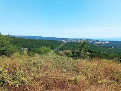 İzmit Kandıra Yolu Yassıbağ Tekkeköy'de 7,5 Dönüm 30