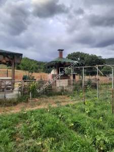 İzmit Kandıra Yolu Yassıbağ Tekkeköy'de 7,5 Dönüm 1