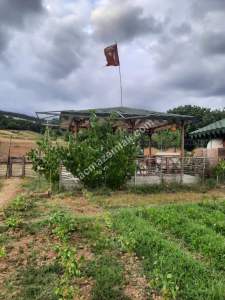 İzmit Kandıra Yolu Yassıbağ Tekkeköy'de 7,5 Dönüm 26