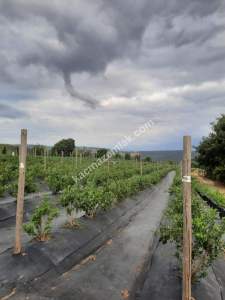 İzmit Kandıra Yolu Yassıbağ Tekkeköy'de 7,5 Dönüm 15