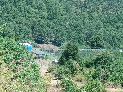 İzmit Kandıra Yolu Yassıbağ Tekkeköy'de 7,5 Dönüm 22