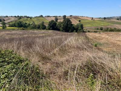 Kocaeli Kandıra Kerpe Ve Kefken'e Yakın 10.000 M2 Arsa 6