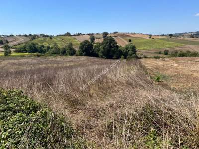 Kocaeli Kandıra Kerpe Ve Kefken'e Yakın 10.000 M2 Arsa 8