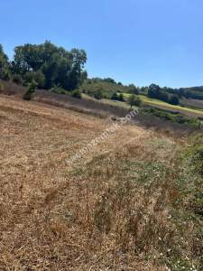 Kocaeli Kandıra Kerpe Ve Kefken'e Yakın 10.000 M2 Arsa 9