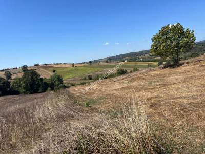 Kocaeli Kandıra Kerpe Ve Kefken'e Yakın 10.000 M2 Arsa 2