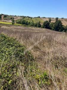 Kocaeli Kandıra Kerpe Ve Kefken'e Yakın Arazi10.000 M2 10