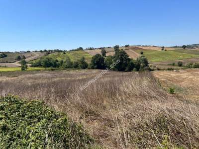 Kocaeli Kandıra Kerpe Ve Kefken'e Yakın Arazi10.000 M2 9