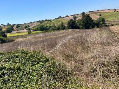 Kocaeli Kandıra Kerpe Ve Kefken'e Yakın Arazi10.000 M2 7