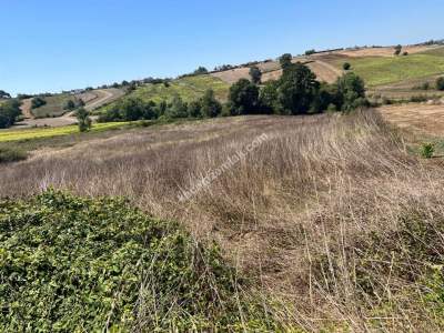 Kocaeli Kandıra Kerpe Ve Kefken'e Yakın Arazi10.000 M2 8