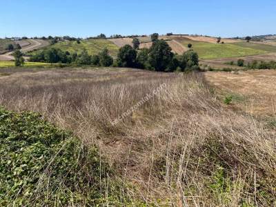 Kocaeli Kandıra Kerpe Ve Kefken'e Yakın Arazi10.000 M2 2