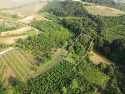 Kocaeli Kandırada Satılık Arazi 3