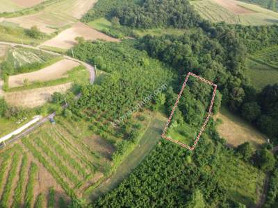 Kocaeli Kandırada Satılık Arazi 6