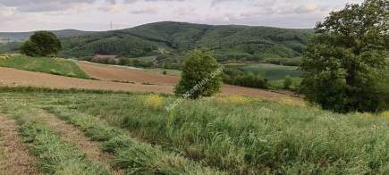 Kocaeli Kandırada Satılık Arazi 5