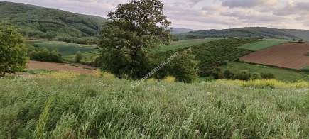 Kocaeli Kandırada Satılık Arazi 4