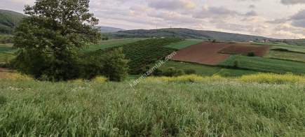 Kocaeli Kandırada Satılık Arazi 6