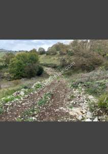 Kocaeli Kandıra Satılık Arazi 8