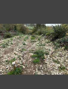 Kocaeli Kandıra Satılık Arazi 5