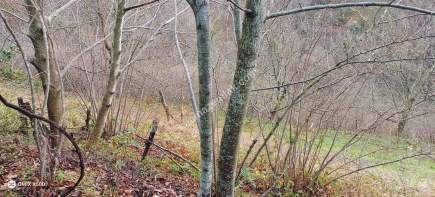 Kocaeli Kartepe Satılık Arazi 12