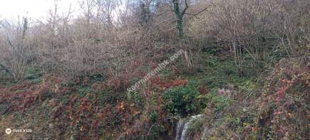 Kocaeli Kartepe Satılık Arazi 4