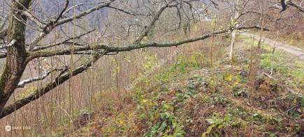 Kocaeli Kartepe Satılık Arazi 9