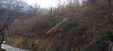 Kocaeli Kartepe Satılık Arazi 3