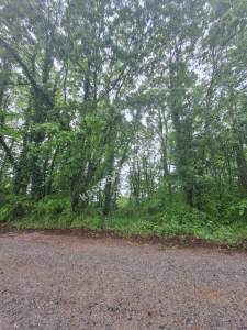 Sakarya Adapazarı Büyükhatap'lı Köyünde Yatırımlık Kaç 13