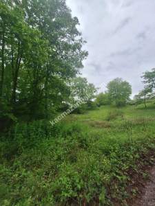 Sakarya Adapazarı Büyükhatap'lı Köyünde Yatırımlık Kaç 10