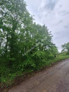 Sakarya Adapazarı Büyükhatap'lı Köyünde Yatırımlık Kaç 8