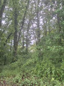 Sakarya Adapazarı Büyükhatap'lı Köyünde Yatırımlık Kaç 2