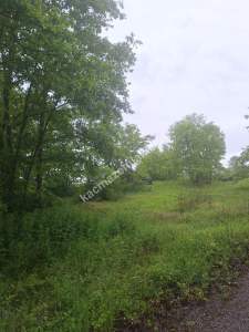 Sakarya Adapazarı Büyükhatap'lı Köyünde Yatırımlık Kaç 4