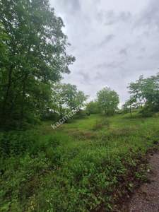 Sakarya Adapazarı Büyükhatap'lı Köyünde Yatırımlık Kaç 9