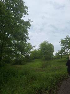 Sakarya Adapazarı Büyükhatap'lı Köyünde Yatırımlık Kaç 5