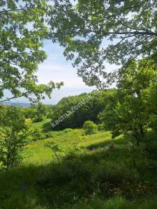 Sakarya Adapazarı Kayrancık 'Ta Doğayla İç İçe Yatırım 4