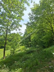 Sakarya Adapazarı Kayrancık 'Ta Doğayla İç İçe Yatırım 9