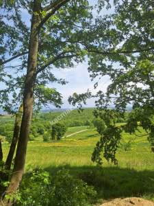 Sakarya Adapazarı Kayrancık 'Ta Doğayla İç İçe Yatırım 3