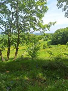 Sakarya Adapazarı Kayrancık 'Ta Doğayla İç İçe Yatırım 14