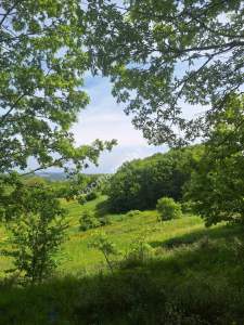 Sakarya Adapazarı Kayrancık 'Ta Doğayla İç İçe Yatırım 13