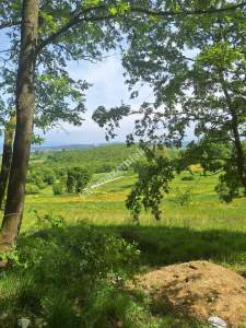 Sakarya Adapazarı Kayrancık 'Ta Doğayla İç İçe Yatırım 12