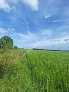 Sakarya Adapazarı Salmanlı'da Satılık Yatırımlık Arazi 9