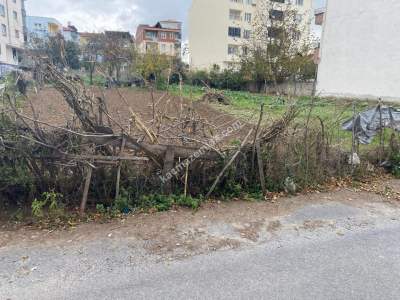 Samsun Bafra Dededağı Mh. 370M2 4 Kat İmarlı Arsa 2