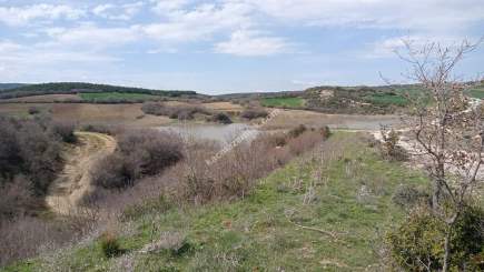 Tekirdağ Şarköy Yoluna Cephe Turizm Projeli Tarla 5