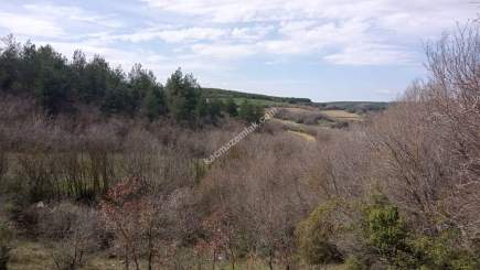 Tekirdağ Şarköy Yoluna Cephe Turizm Projeli Tarla 6
