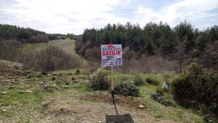 Tekirdağ Şarköy Yoluna Cephe Turizm Projeli Tarla 7