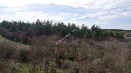 Tekirdağ Şarköy Yoluna Cephe Turizm Projeli Tarla 2