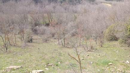 Tekirdağ Şarköy Yoluna Cephe Turizm Projeli Tarla 3